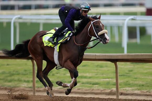 A List Of Owners For Each Horse In The 2026 Kentucky Derby - NewsBreak