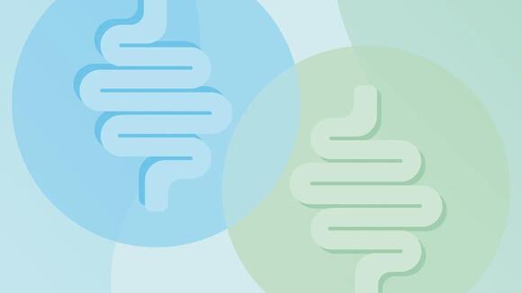 5 Things to Know About the IBD-IBS Overlap - NewsBreak