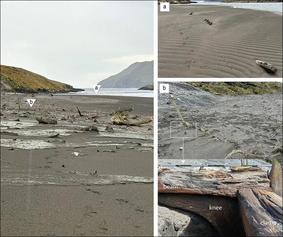 The 19th-Century “Castaway Camp” Of Shipwrecked Penguin Hunters May ...