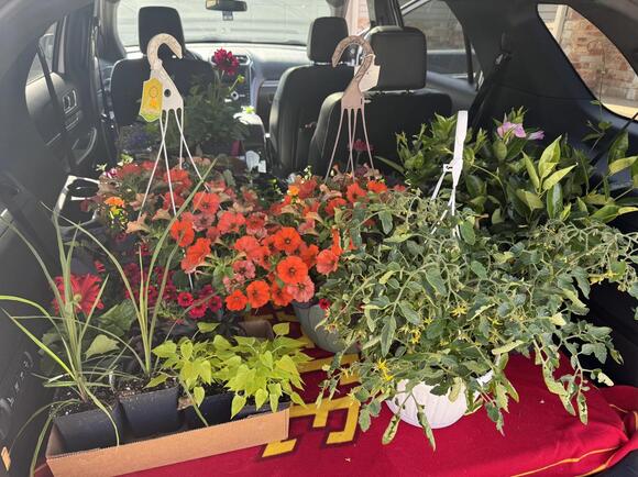 Best Amish Greenhouses in Southwest Wisconsin With the Biggest ...