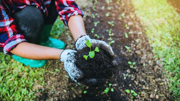 Farmers for Soil Health launches new incentives for growers - NewsBreak