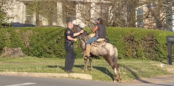 Kentucky Man Busted on DUI Charges for Riding His Horse While Allegedly ...