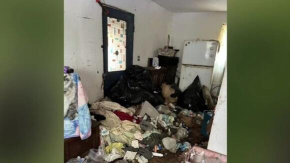Police said they found over 50 pigs living in a home when they went to ...