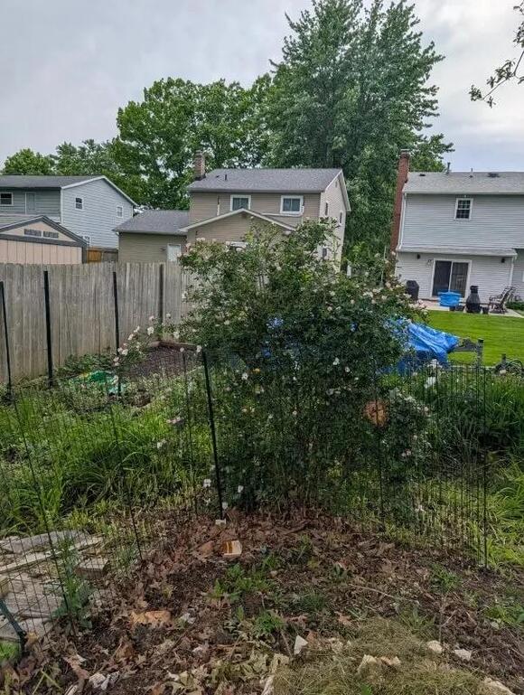 Gardener restarts compost pile after 'compostable' restaurant packaging ...