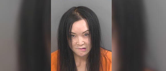 Collier County woman arrested again in massage business crackdown ...