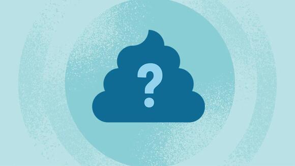 What Causes Blue Poop? - NewsBreak