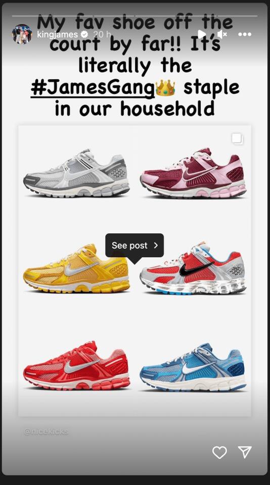 leborns favourite shoes revealed on instagram