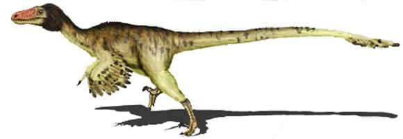 Raptor Revolution: Meet the Feathered Predators of the Late Cretaceous ...