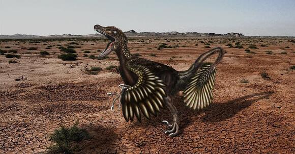 Could Raptors Fly? Some Scientists Think So - NewsBreak