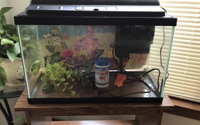 Bolingbrook General News Break Classifieds