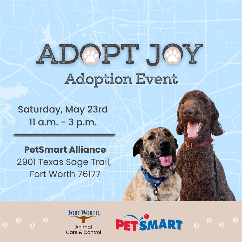 Adopt Joy Free Dog Adoption Event