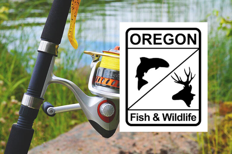 Eastern Oregon trout stocking resumes this week - NewsBreak