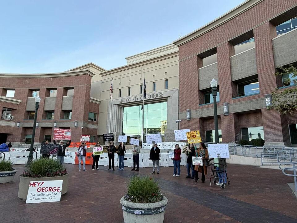 Protestors gather outside courtroom for Eagle man accused of shooting ...