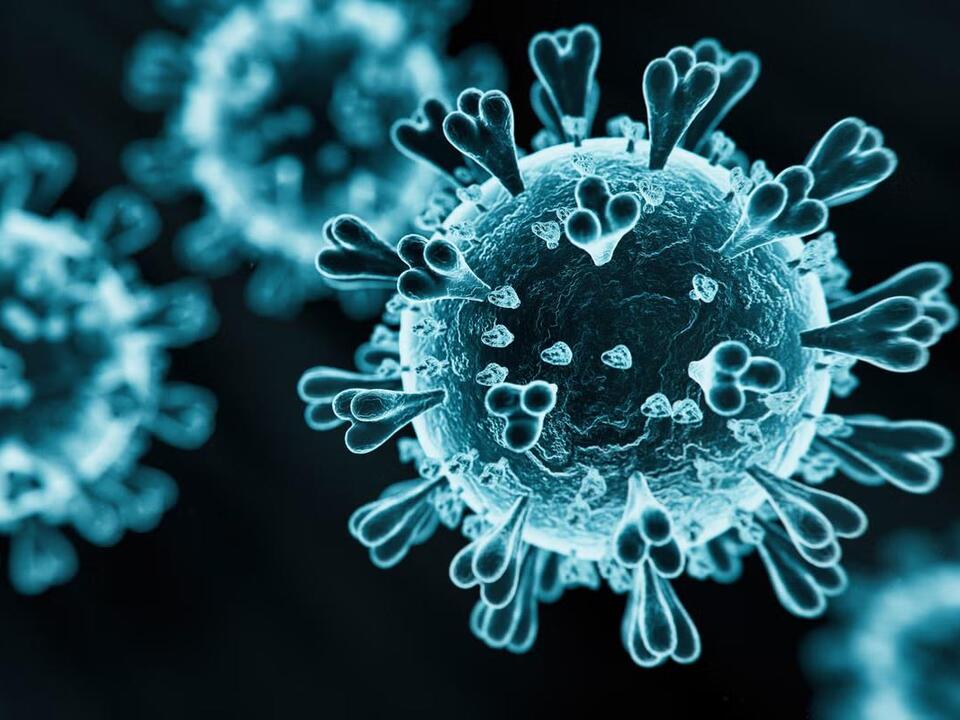 Covid hospitalisations surge as new variant XEC spreads across UK