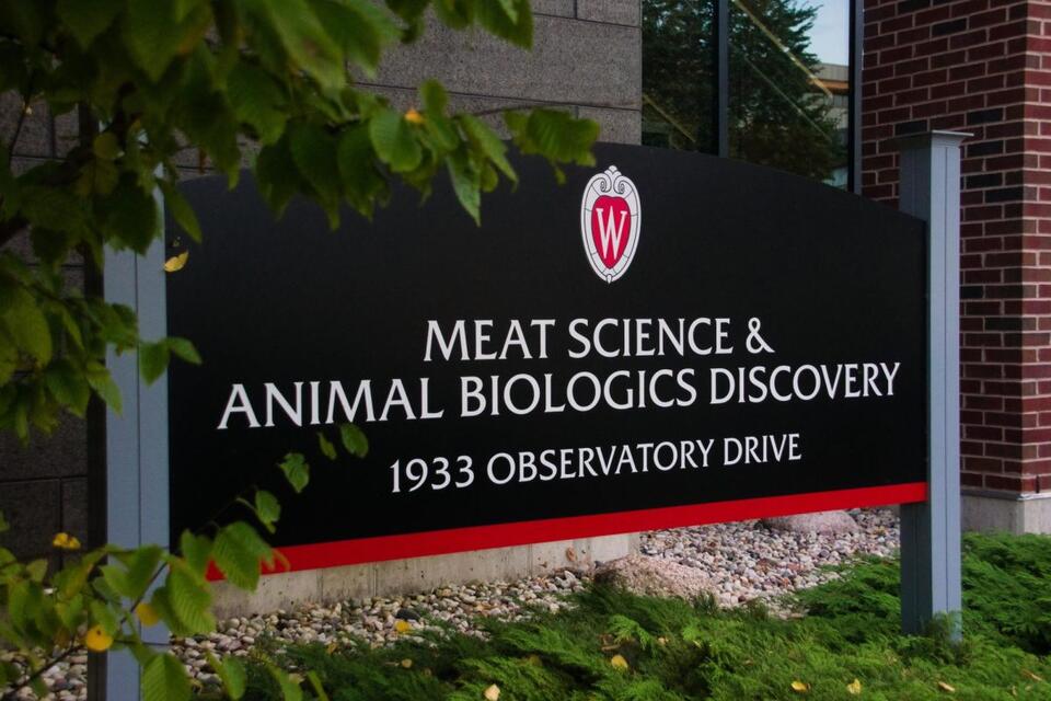 Recent UW graduate captures alleged footage of pigs stunned in UW ...