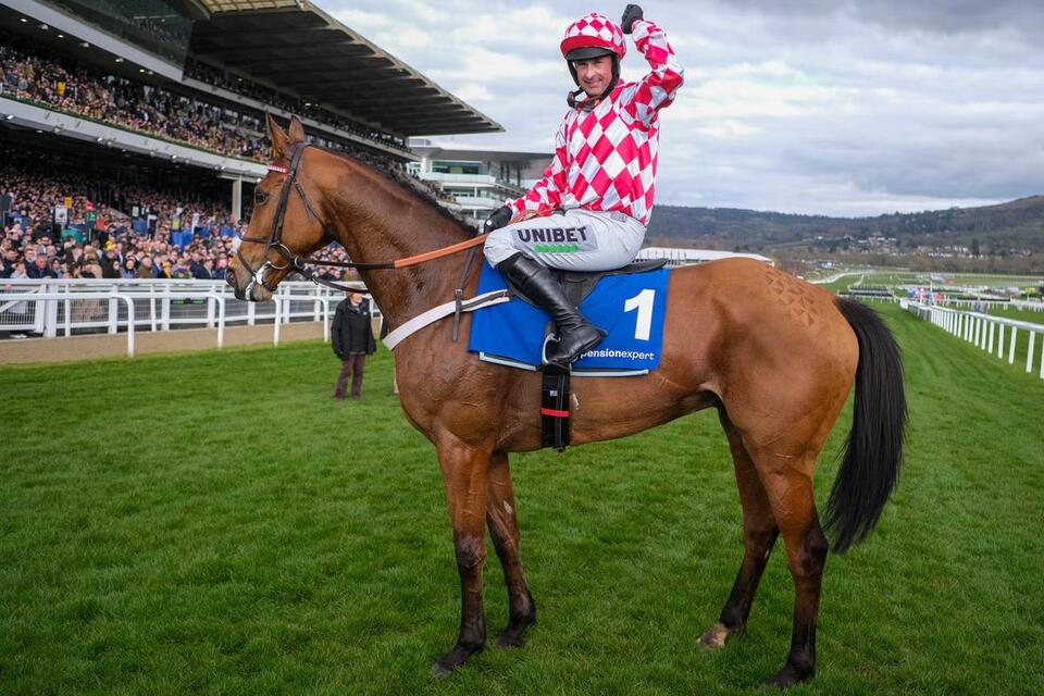 2026 Arkle Chase odds & betting guide - NewsBreak