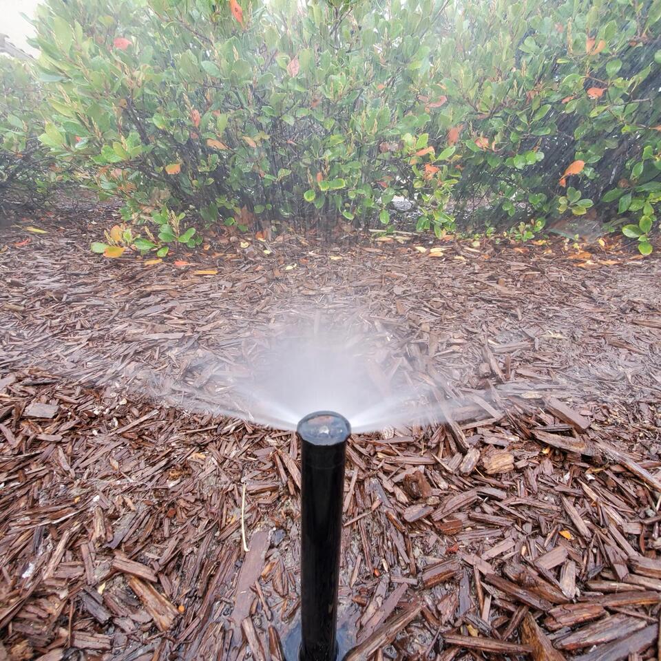 Tri-Valley Residents Are Being Asked to Stop Watering Their Lawns for 6 Days