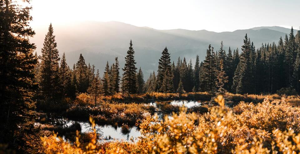 Old Farmer’s Almanac Fall 2026: Colorado Weather Forecast - NewsBreak