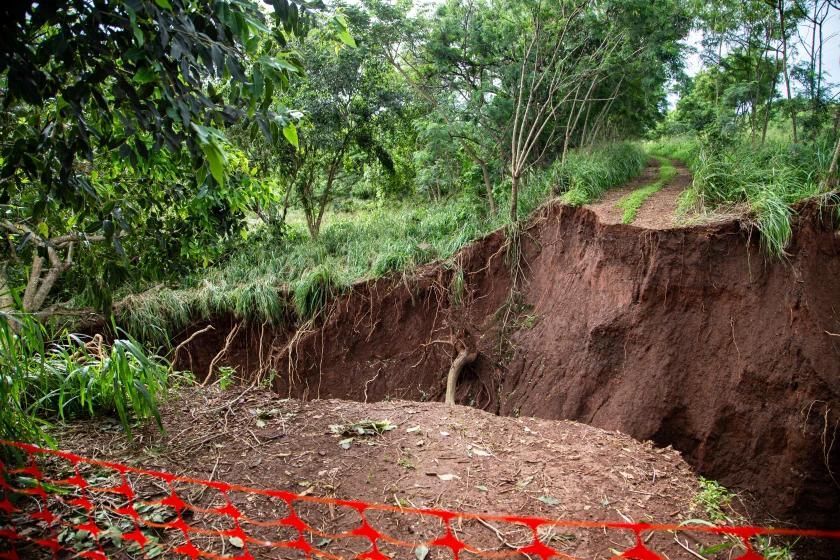 Honolulu emergency managers want AI to help spot floods earlier - NewsBreak