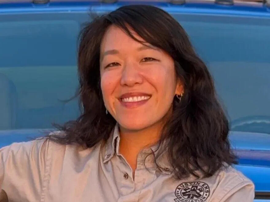 TX City Council Race Pits EMS Leader Against Government Watchdog ...