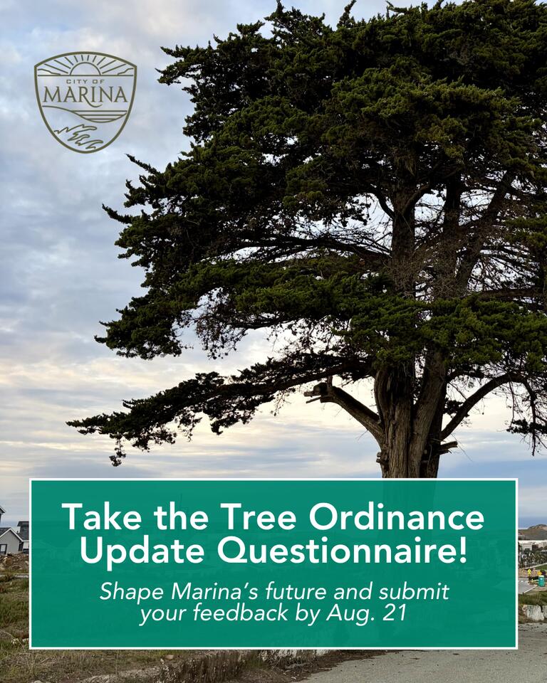 City seeks input on Tree Ordinance update - NewsBreak
