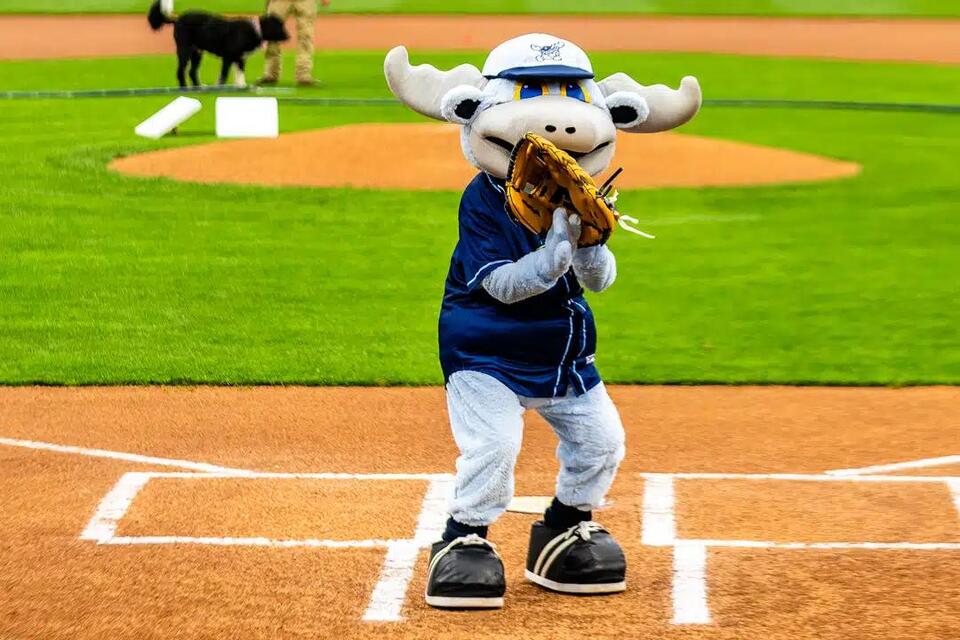 Minor League Baseball Recap: Wilmington Blue Rocks Finish First Month ...