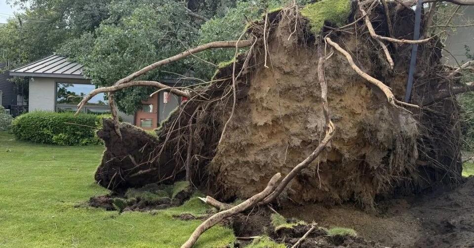 A Tree Crushed Her Michigan Home During the Storm and She Was Trapped ...