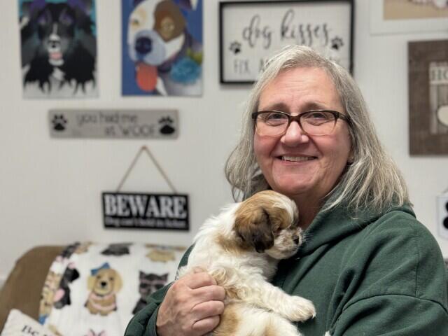 Wisconsin dog rescue saves animals from high-risk situations - NewsBreak