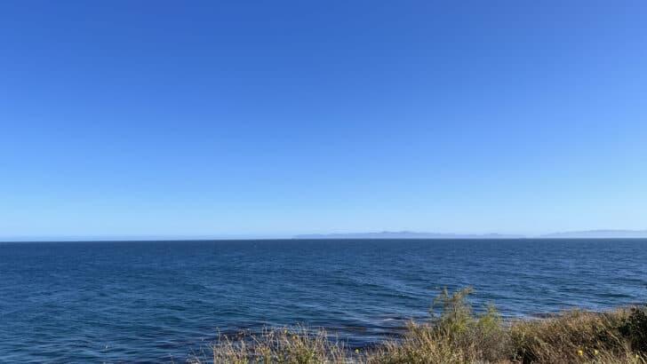California Allocates $60 Million to Protect Critical Wildlife Habitats