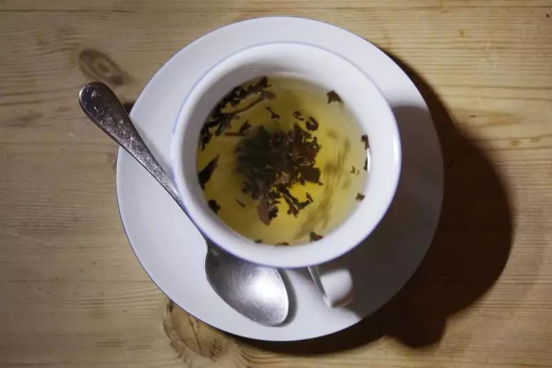 Why the Temperature of Your Tea Really Matters - NewsBreak