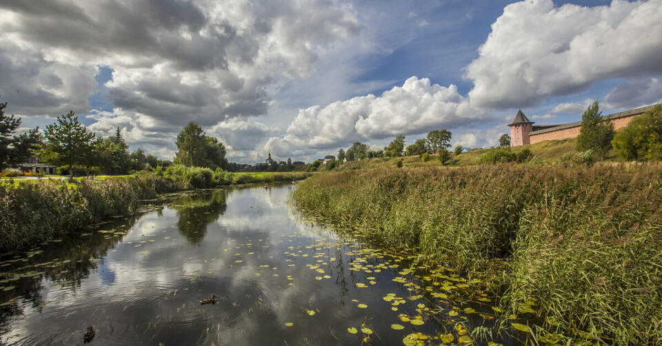 Union Slough Auto Tour route open during refuge week - NewsBreak