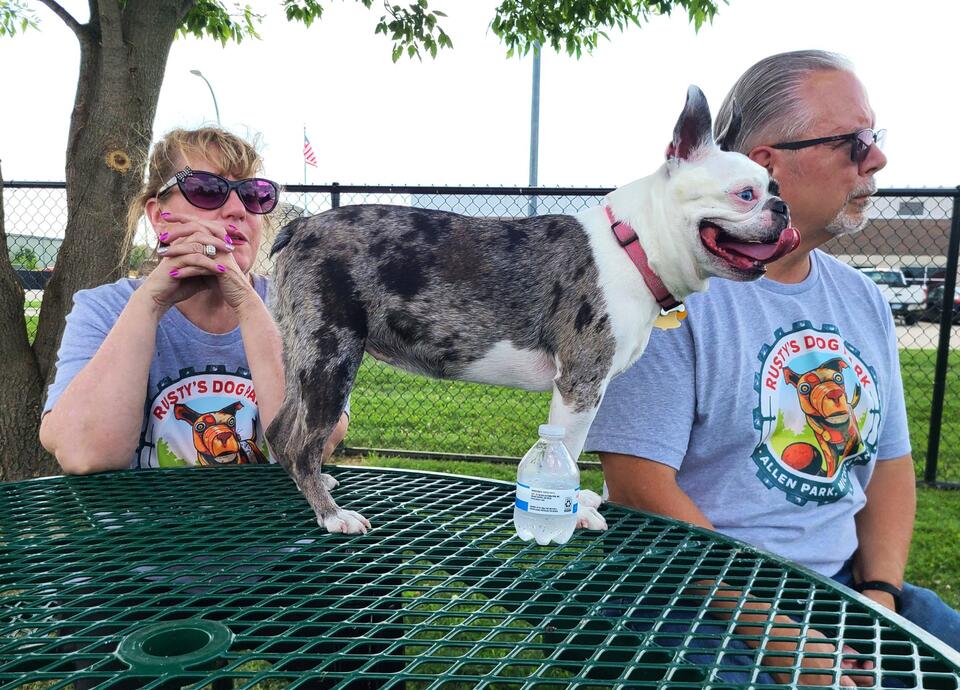 Allen Park opens Rusty’s Dog Park - NewsBreak