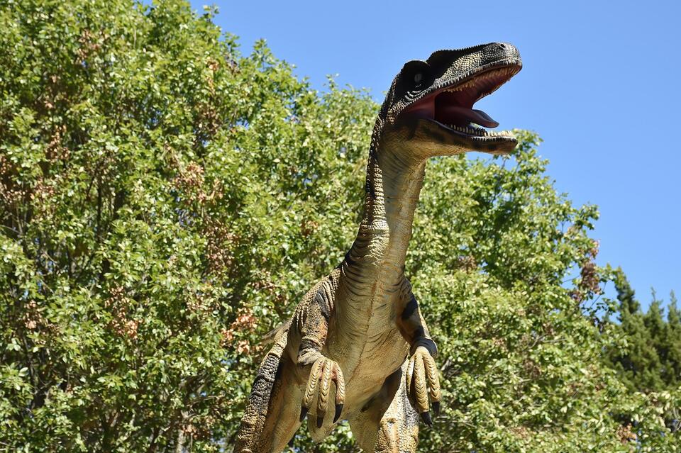 From Feathers to Claws: The Real Life of a Cretaceous Raptor - NewsBreak