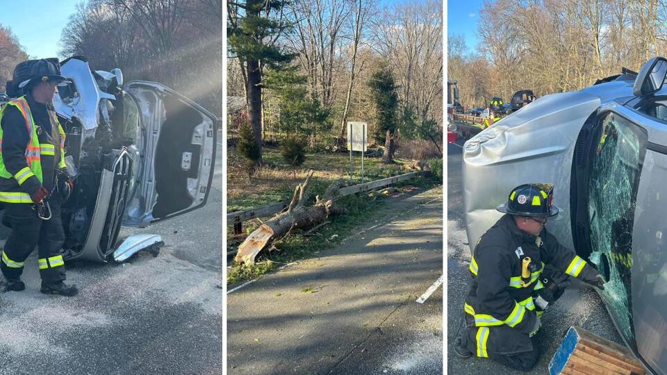tree-limbs-fall-on-top-of-cars-in-fairfield-and-southbury-due-to-high