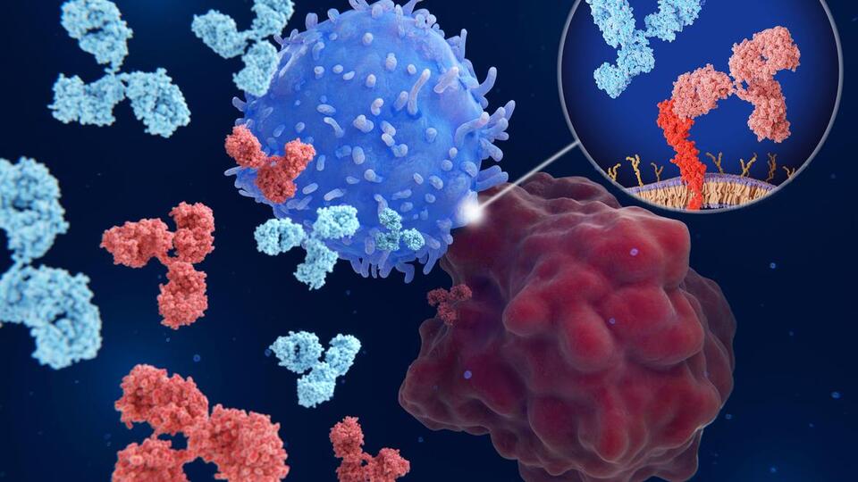 PD-L1 Add-On Puts a Spin on RATHL Approach to cHL Treatment