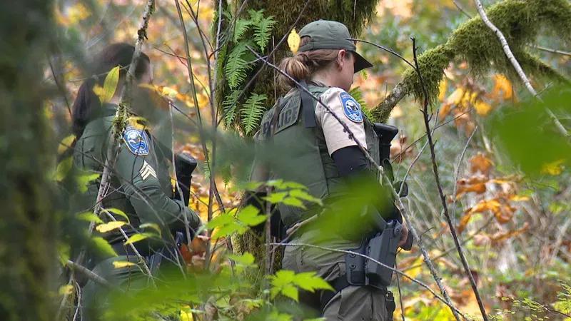 Woman injured in bear attack in Snohomish County; WDFW searches for ...