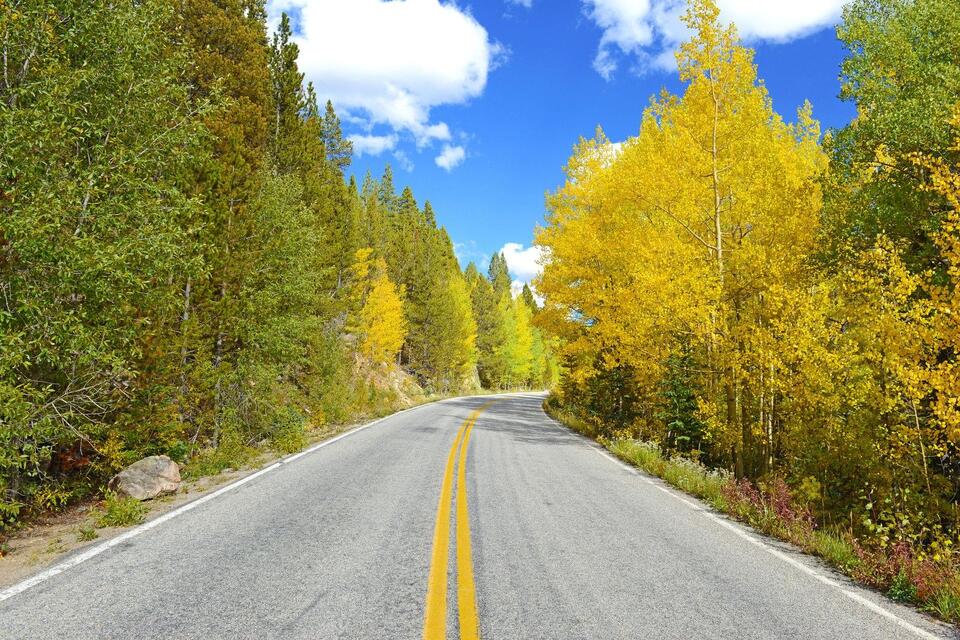 When To See Peak Fall Foliage On The Talimena Scenic Byway - NewsBreak