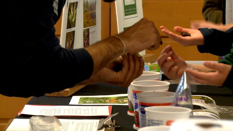 Middle School students explore watershed science through activities the ...