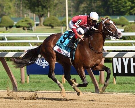 Creative Cause, Copper Bullet to Clear Creek Stud