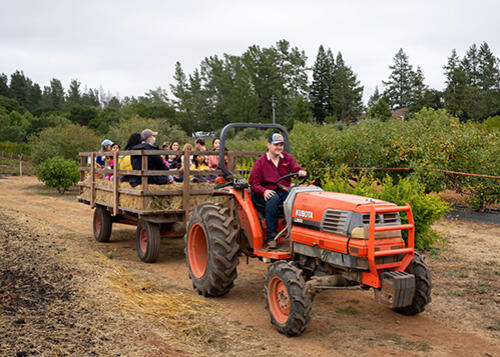 SRJC to host annual Fall Fest at Shone Farm - NewsBreak