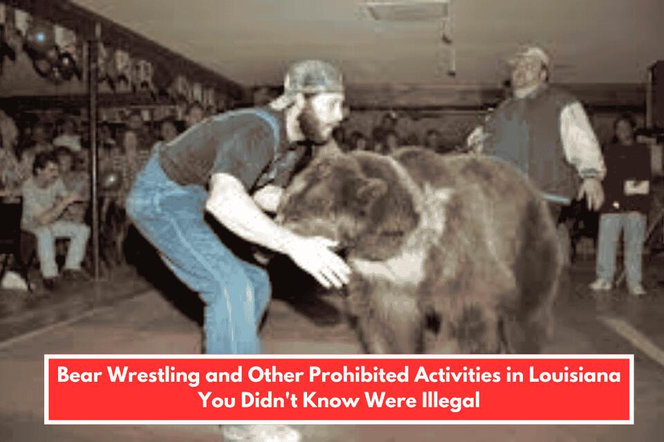 Bear Wrestling and Other Prohibited Activities in Louisiana You Didn’t ...