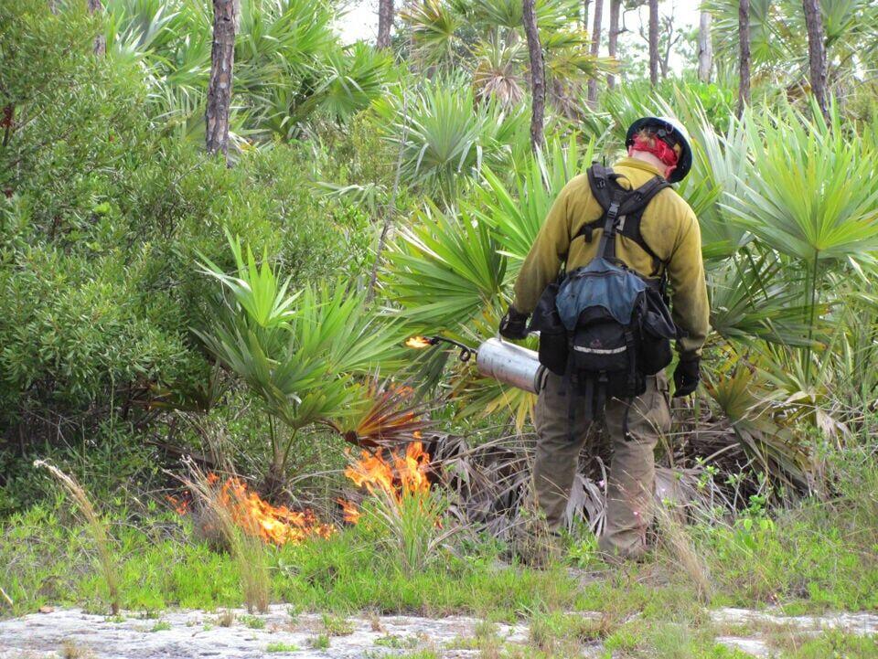 Prescribed burns - NewsBreak