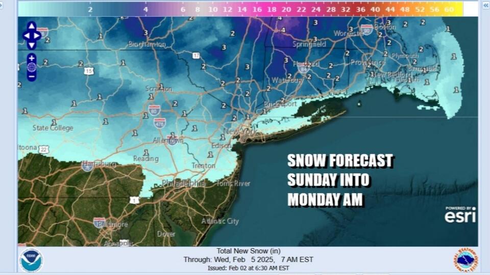 Ground hog says 6 more weeks of winter & weather models agree for ...