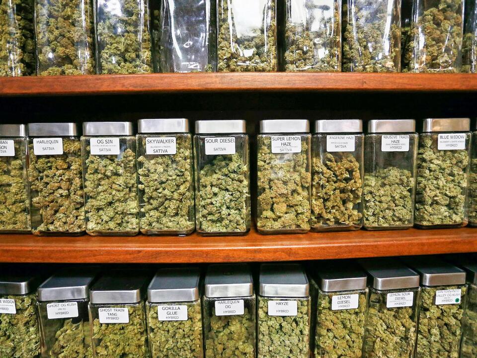 Michigan Senate Approves Bill to Lower Age to Work and Volunteer at