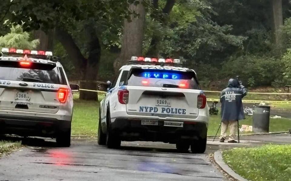 Woman, 30, stabbed to death at Brooklyn park
