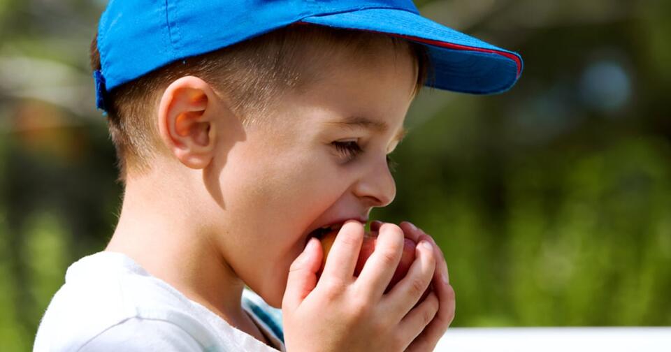 Federal bill links summer enrichment programs with free meals