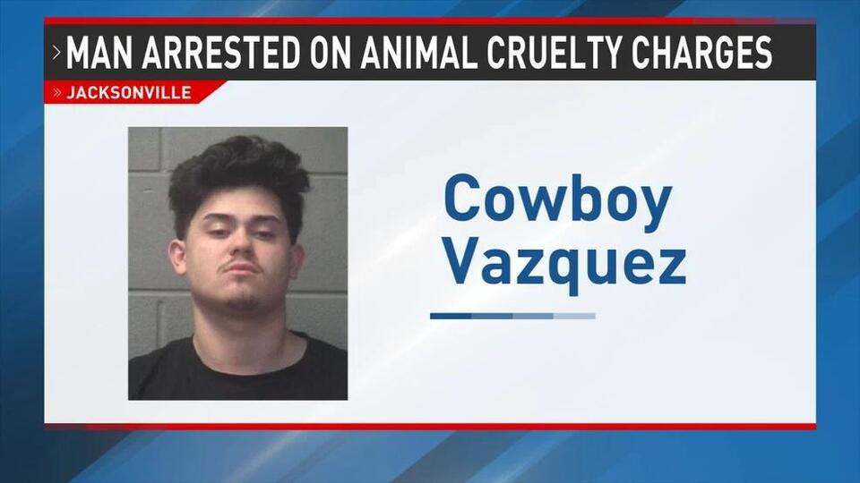 Man charged with animal cruelty, domestic violence, child abuse - NewsBreak