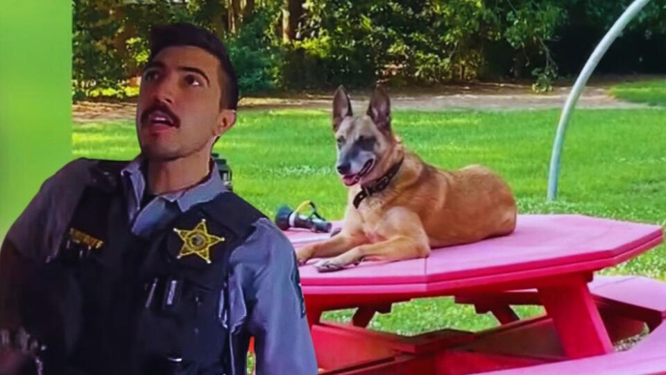 The deputy who shot a family dog ‘no longer with the sheriff’s office ...