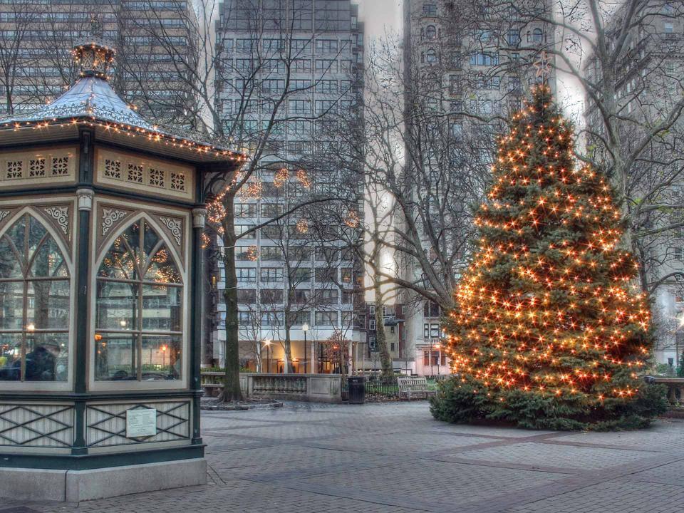 Discover The Symbolism And Meaning Behind The Christmas Tree