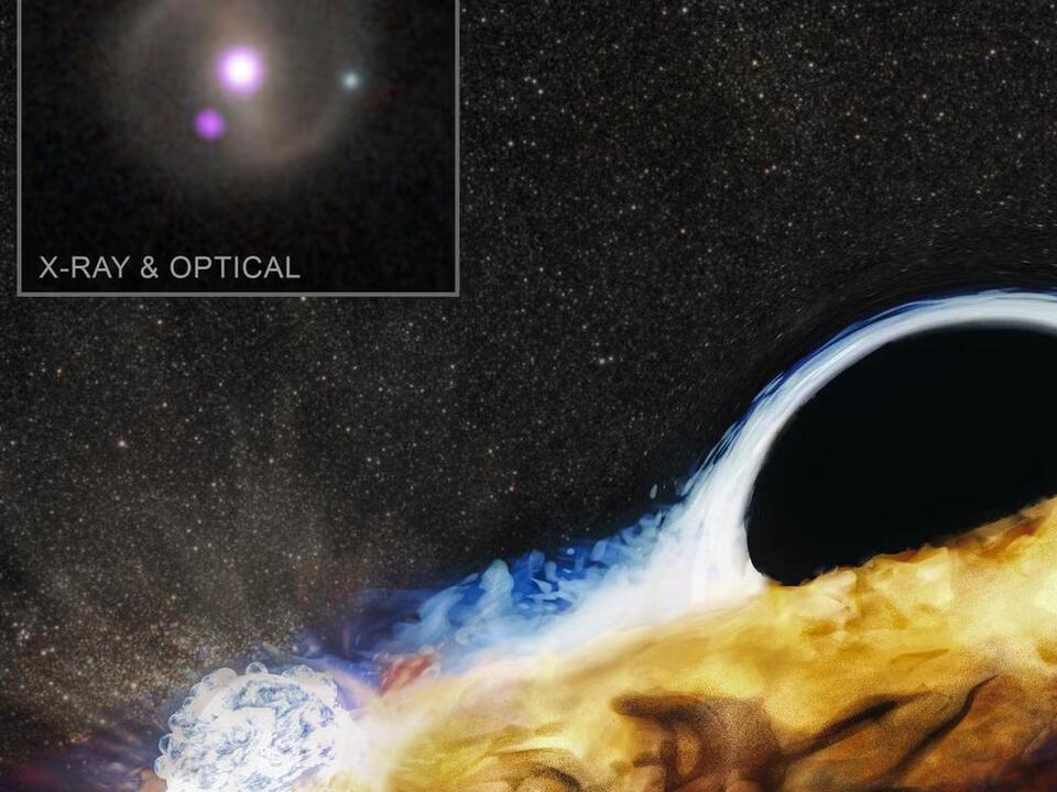 Cosmic discovery solves black hole mystery that had perplexed scientists